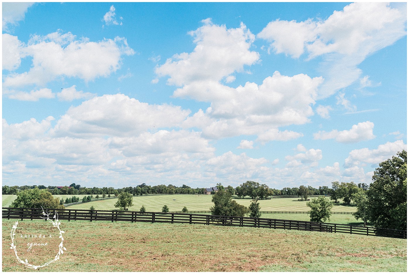 The Best Horse Farm Tour in Lexington, KY Unique Horse Farm Tours