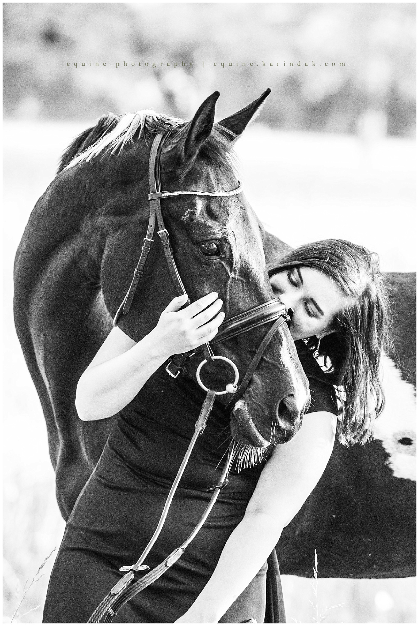 Horse and Rider Portrait Photographer Austin,TX - Texas Equine 