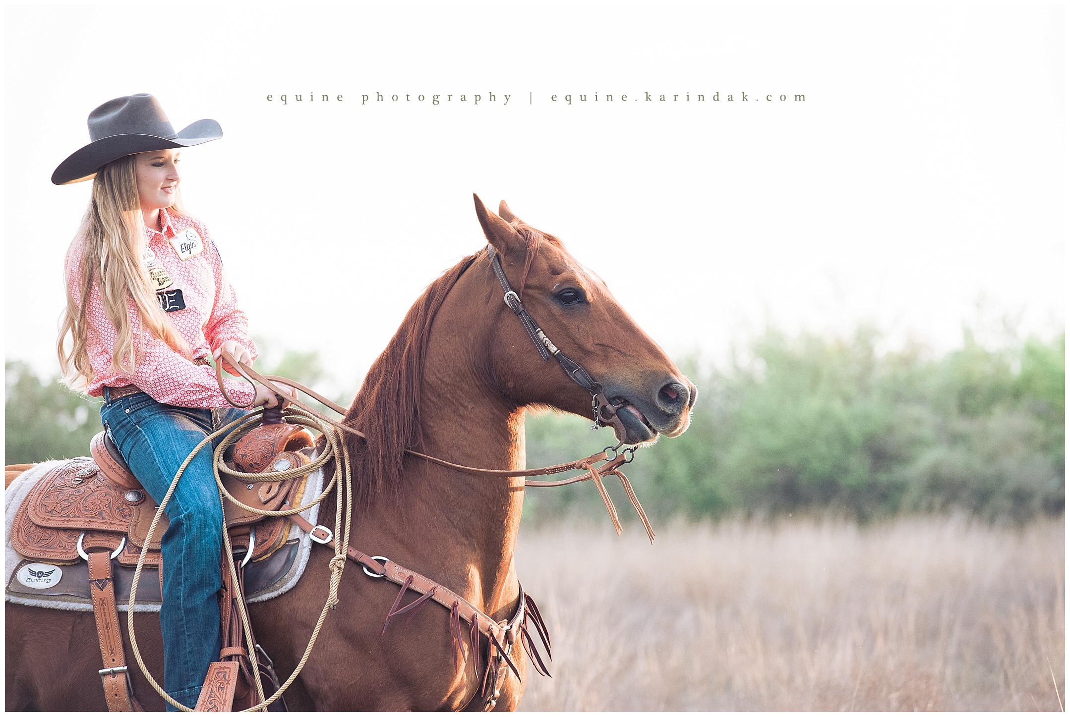 Rodeo Horse and Rider Portraits Louisville,KY Texas Equine