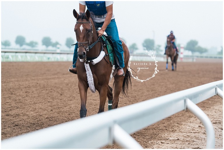 Texas Racehorse Photography