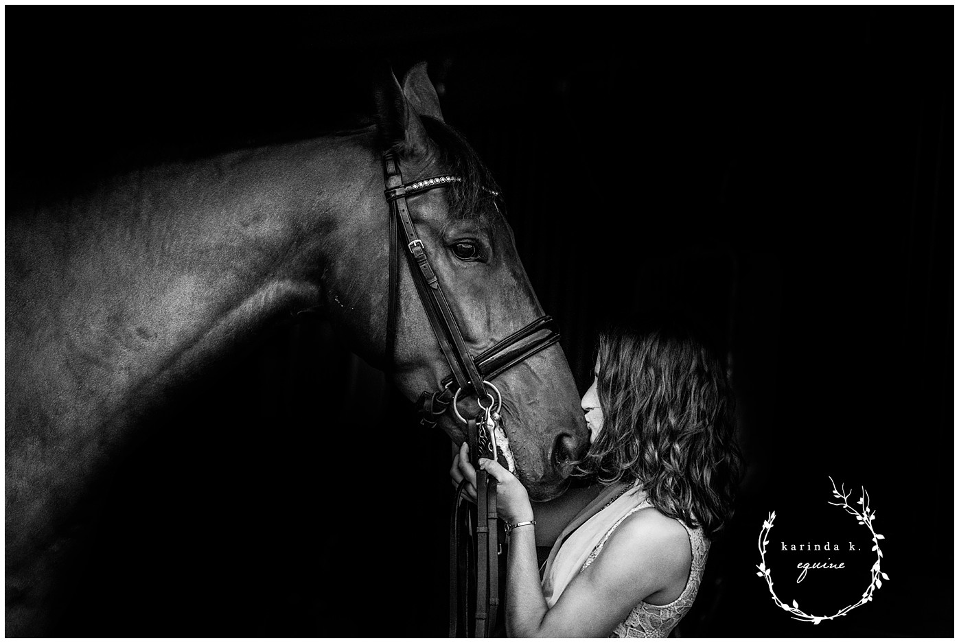 Fine Art Black Background Equine Portraits Houston, Texas - Texas ...