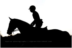 Horse Riding Silhouette, Tryon International Equestrian Games