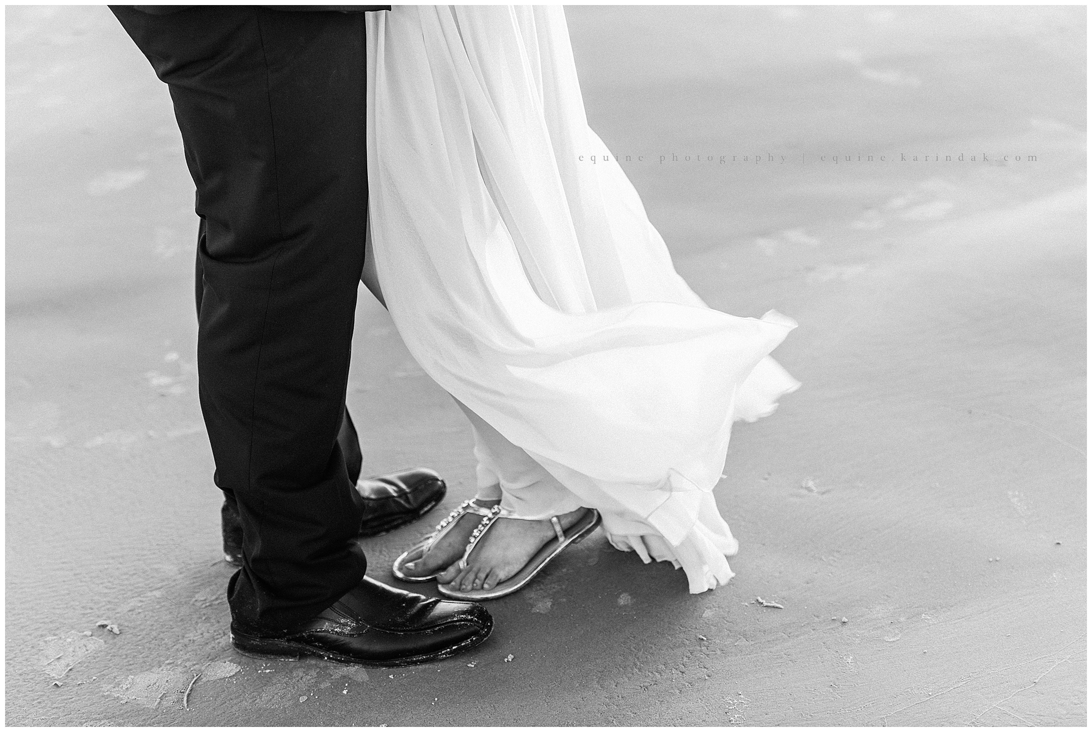 Beachside Equestrian Proposal Corpus Christi, TX - Texas Equine ...