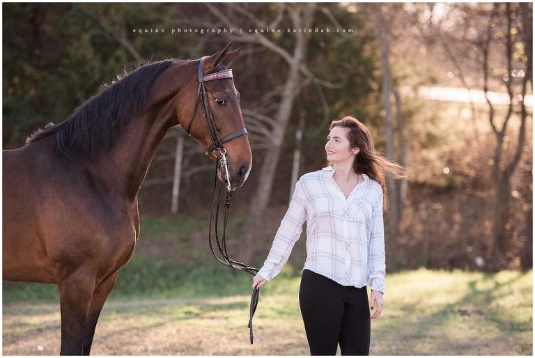 Saddlebred Portraits in Dallas Texas Equine Photographer 