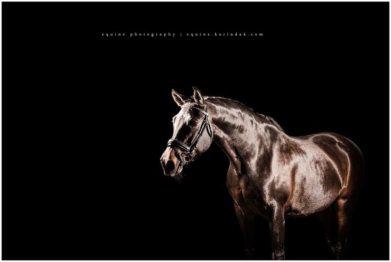 Callegari equestrian center hosts karinda K for black background portraits