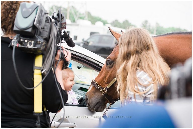bay horse greets arley at pin oak charity horse show