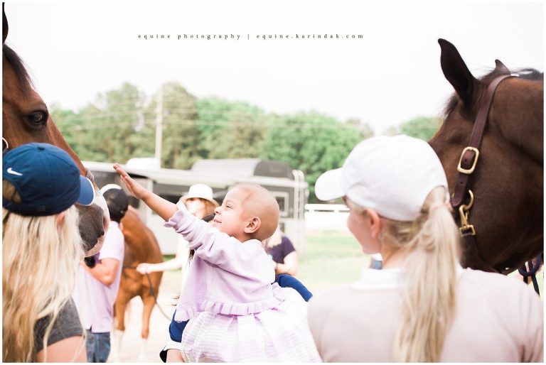arley lifting her hand to pet horses