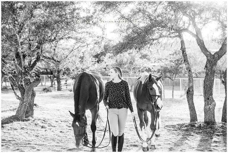 Austin Equine Photographer Southern Way Farm Horse & Rider