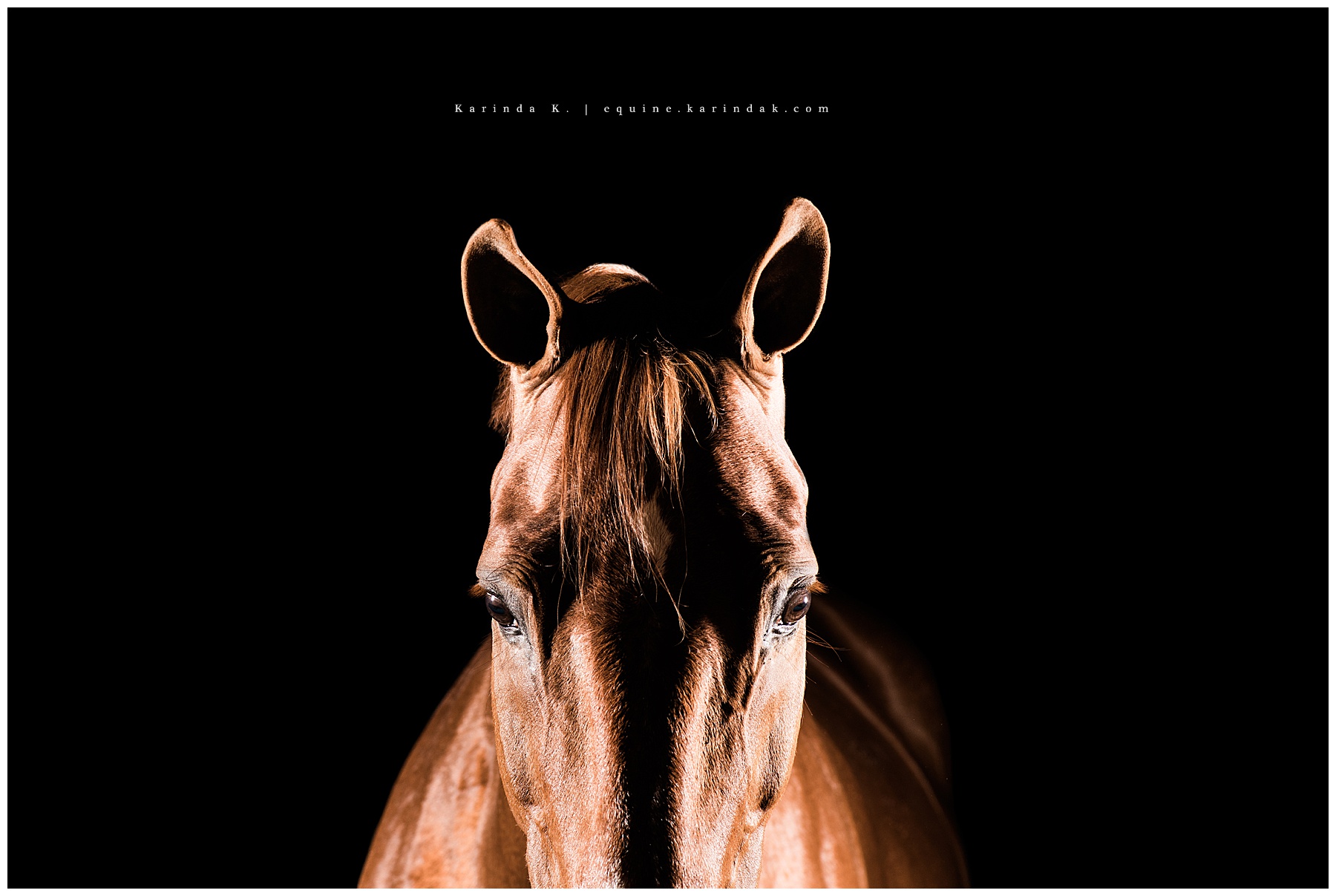 Horse Editorial — Private Editorial