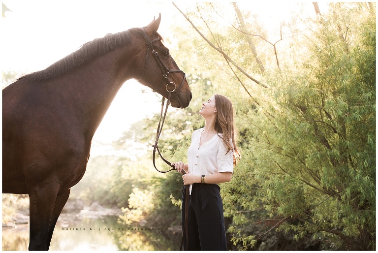 monarch stables horse portraits austin tx
